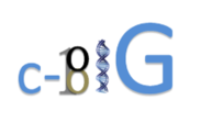 C-big logo