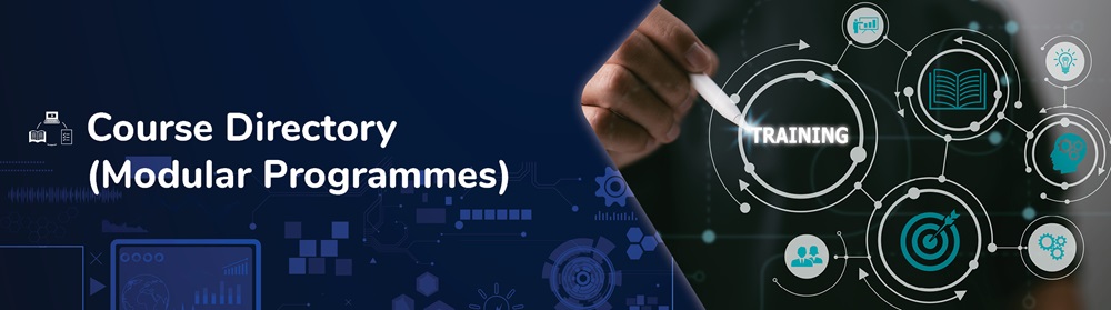 Modular Programmes